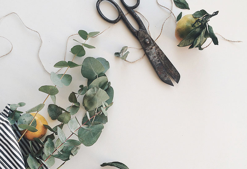 Arrangement Botanical Botany 1030975